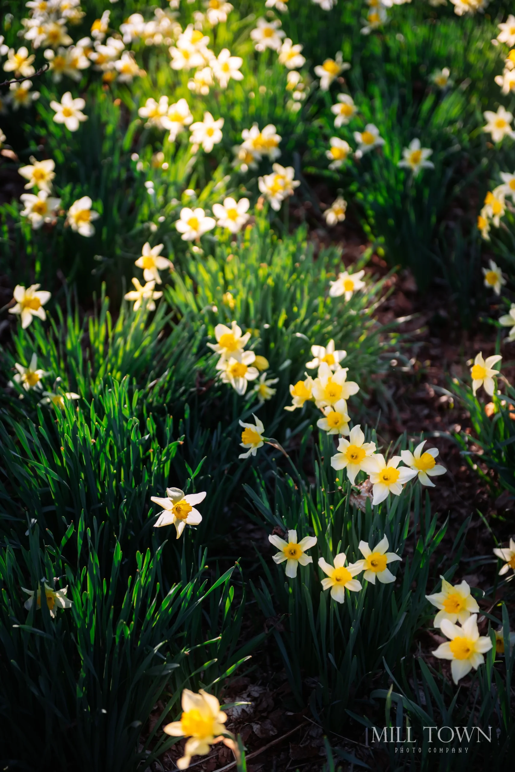 Our Favorite Backdrops: 10 Must-See Portrait Locations in Litchfield County